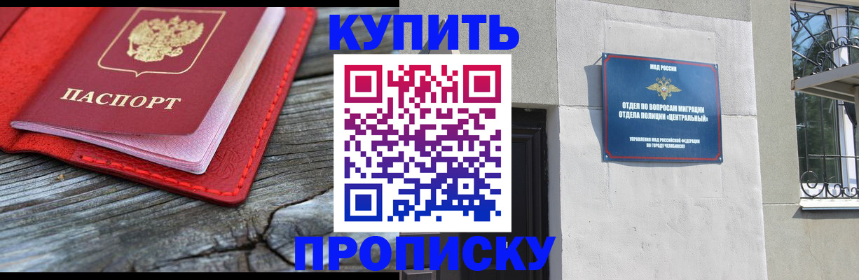 прописка паспорт в Пионерском