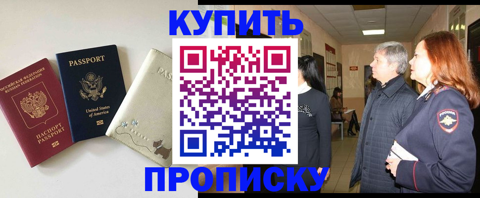 где прописаться в Пионерском